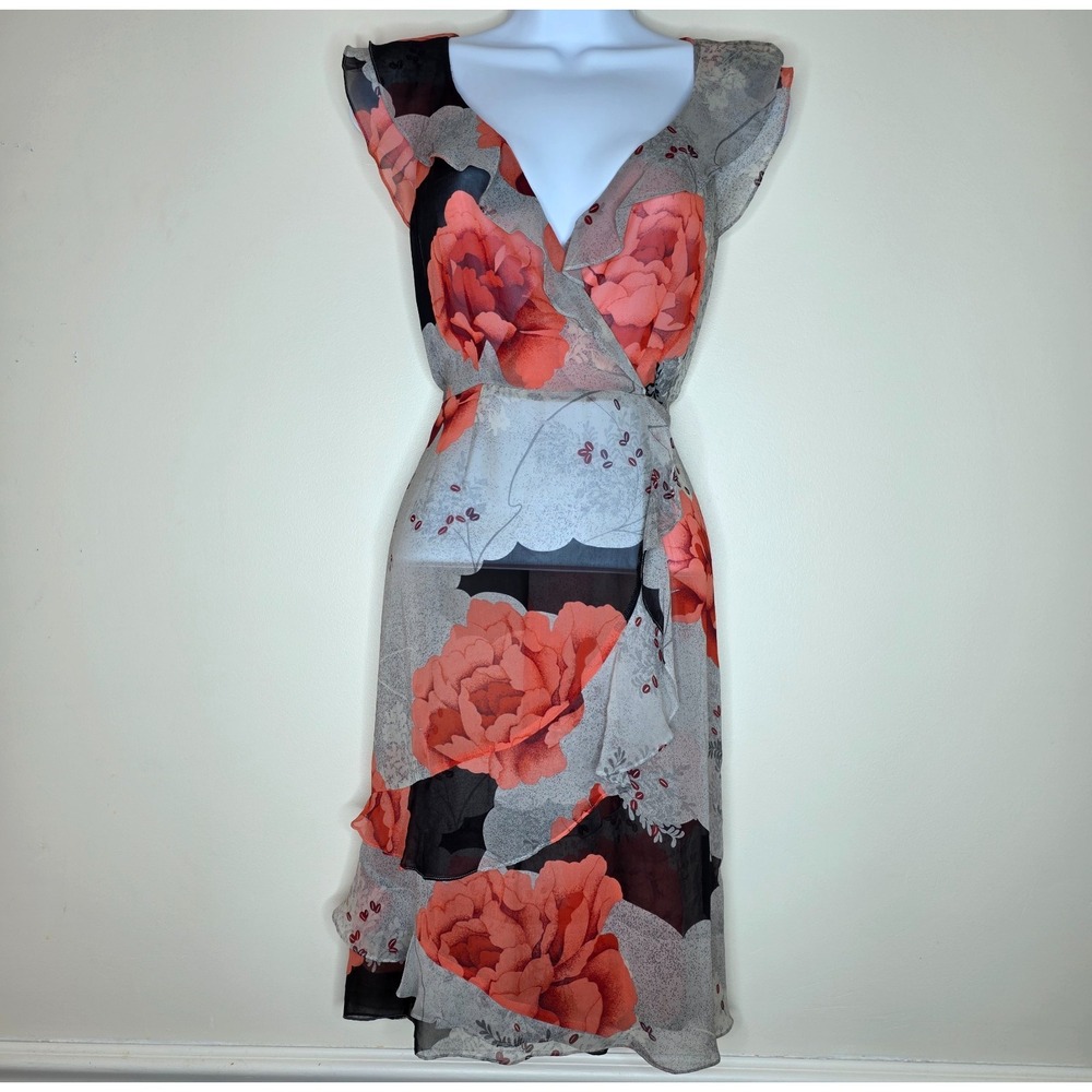 Moulinette Soeurs 100% Silk Sheer Dress Size 4 Floral Faux Wrap Romantic Flowy